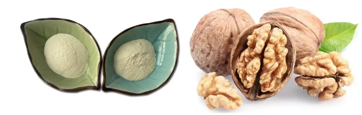 Walnut Peptide Supplieer.jpg